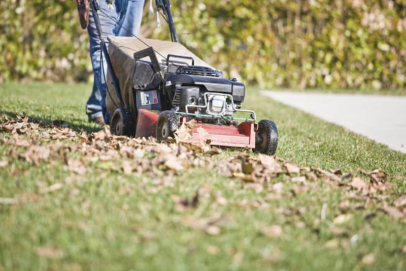 best mulching lawn mower