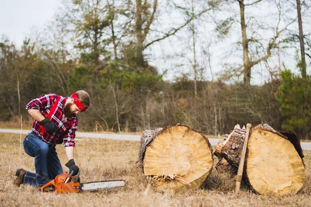 best chainsaw chain for cutting