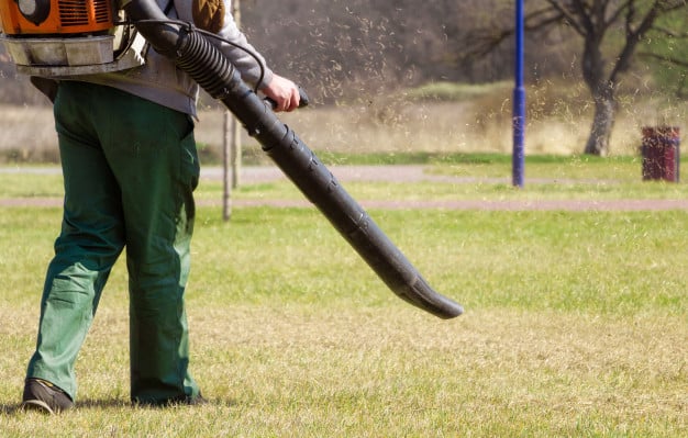 backpack leaf blower