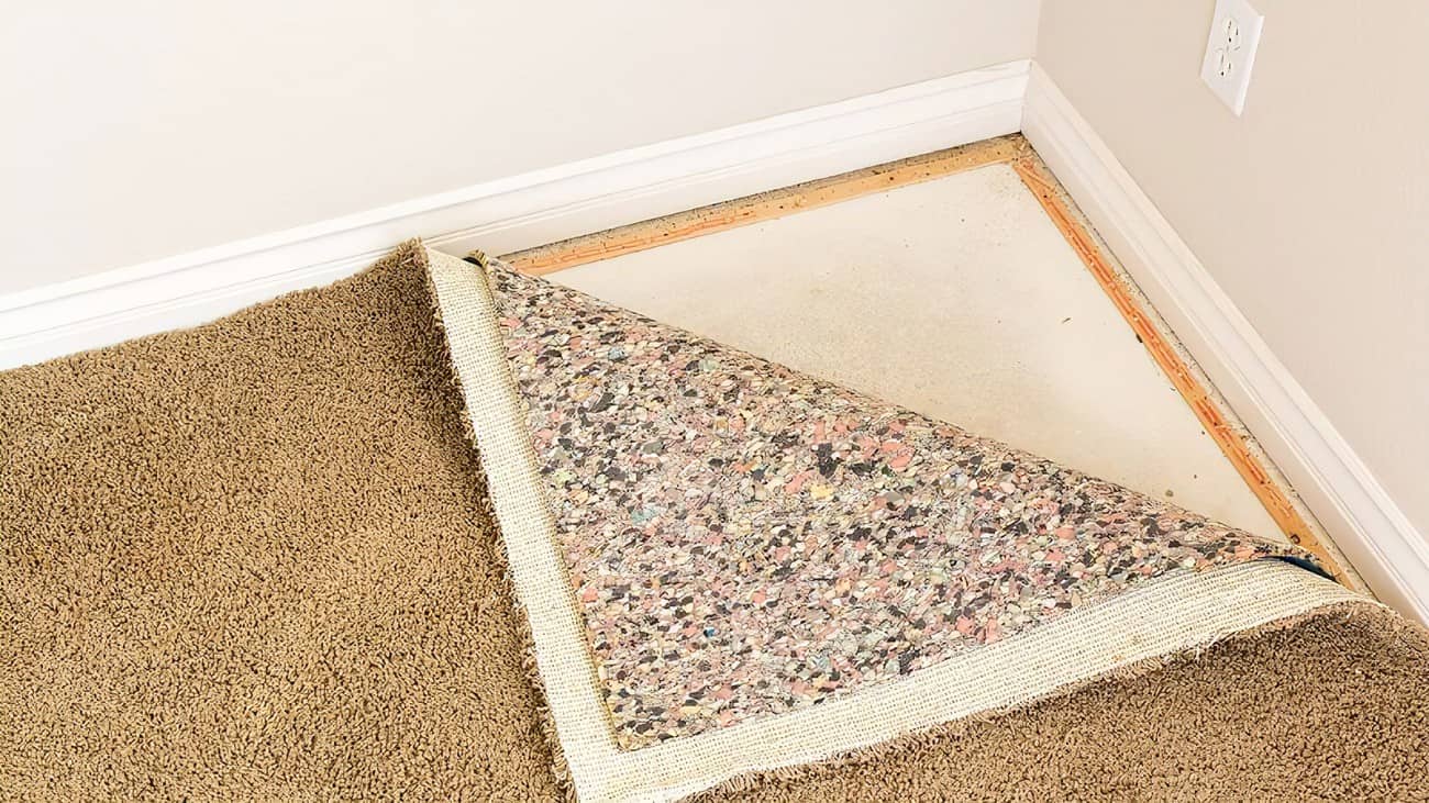 how to get mold out of carpet