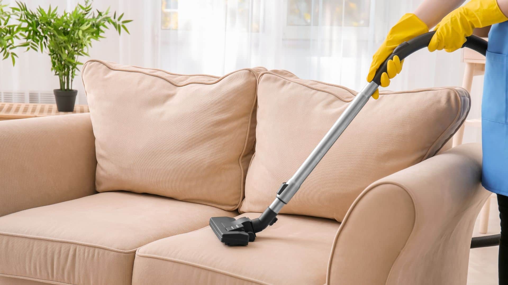 Best Dry Cleaning Solvent for Upholstery