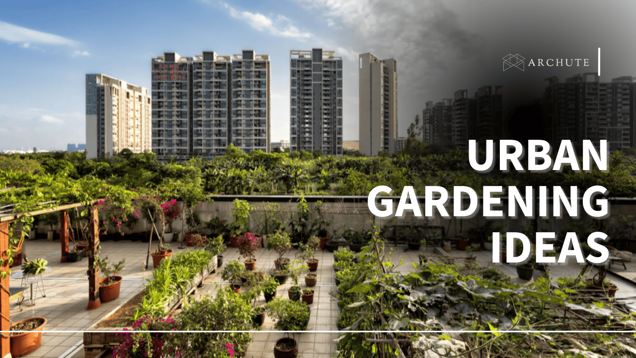 Urban Gardening Ideas