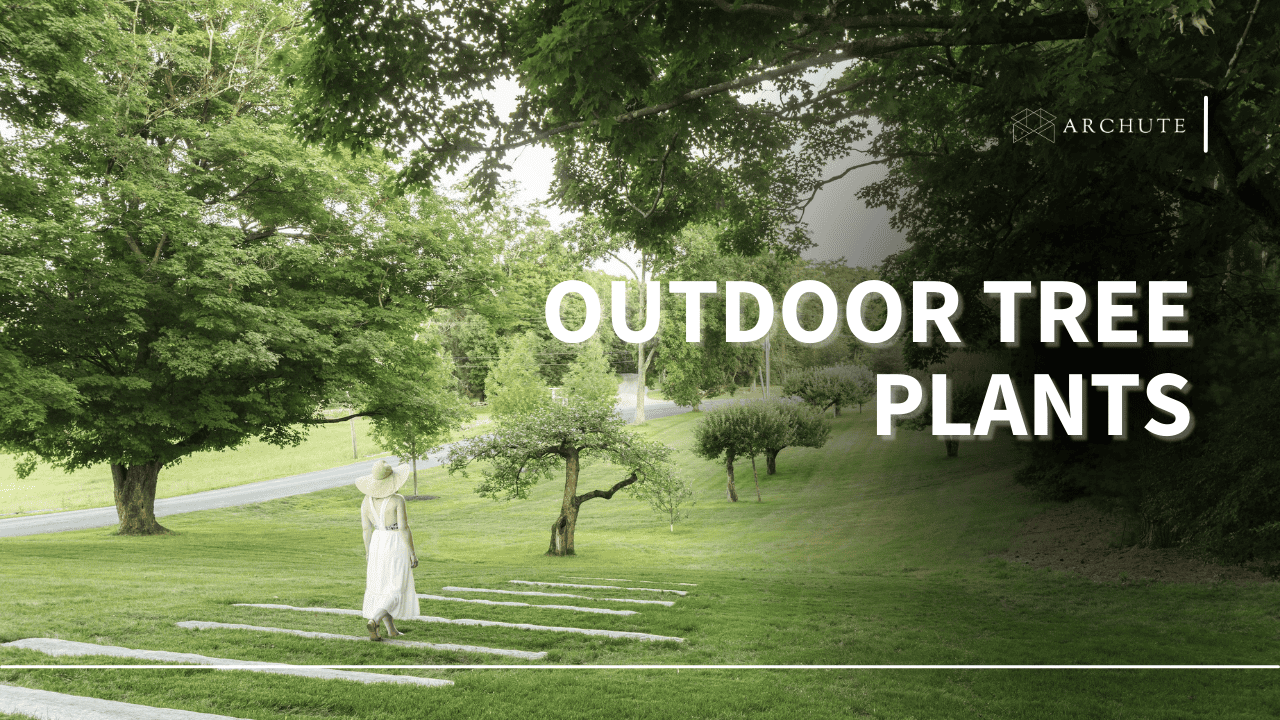 outdoor tree plants