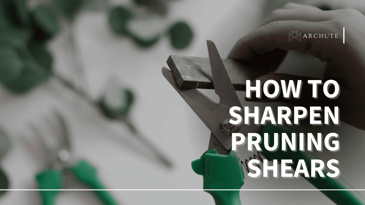 How to Sharpen Pruning Shears