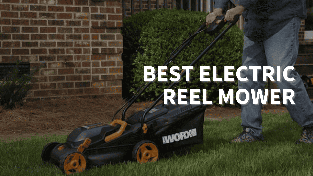 electric reel mower